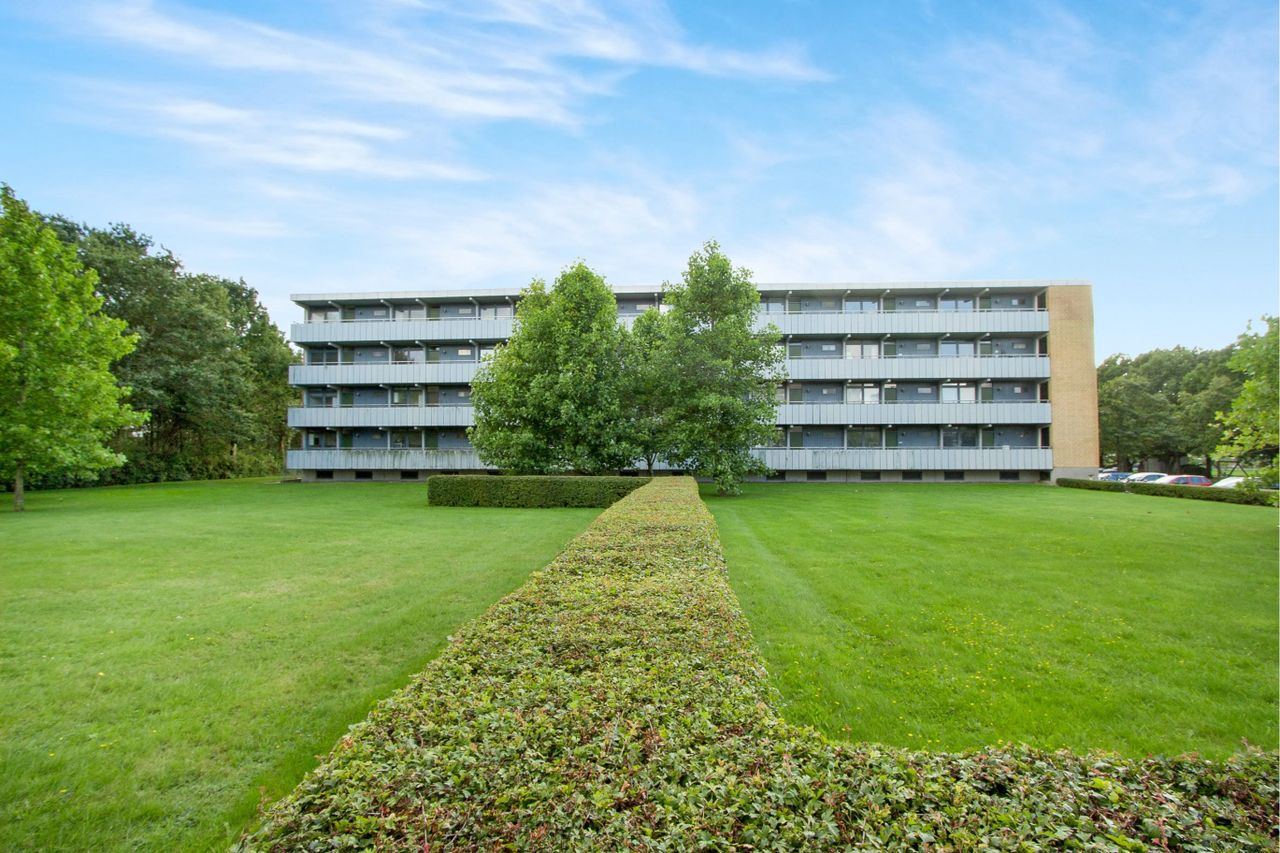 image 01
